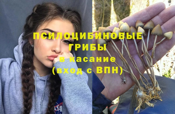 амф Вяземский