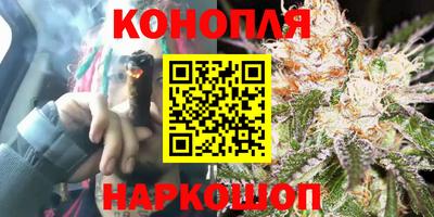 спиды Камышлов