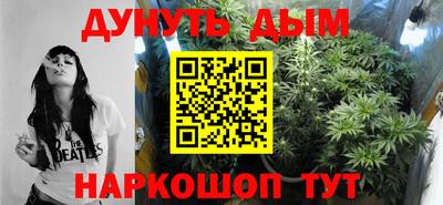 спиды Камышлов